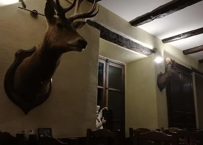 Hotel Des Voyageurs 3*