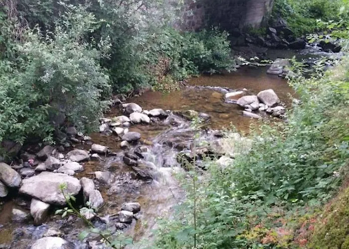 Des Voyageurs Hotel 3*